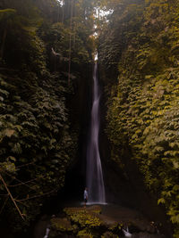 Scenic view of waterfall in forest