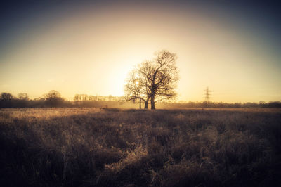 Scenic view of field against sky during sunset