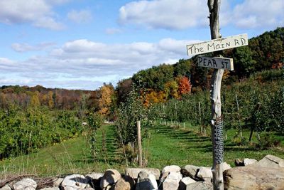 Road sign by trees against sky
