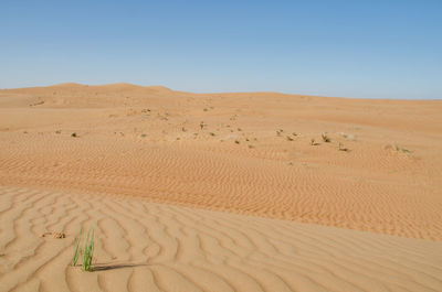 Scenic view of desert against clear blue sky