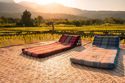 Traditional thai beds on the rice fields at the sunset time.