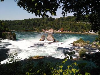 Scenic view of waterfall in forest