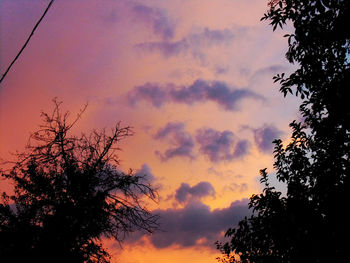 Low angle view of silhouette trees against dramatic sky