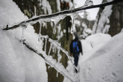 Close-up of icicles on water