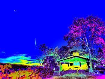 Low angle view of illuminated tree against clear sky