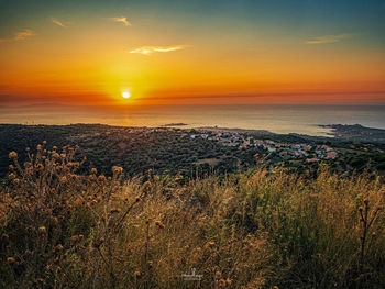 Scenic view of sea during sunset