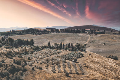 Scenic view of field against sky during sunset