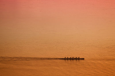 Tahitian rowers