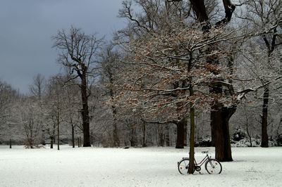 Bicycle in park during winter