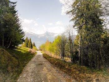 Road amidst trees and plants against sky