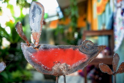 Close-up of ice cream on plant