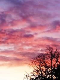 Low angle view of silhouette tree against sky at sunset