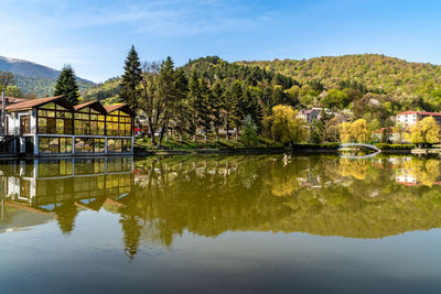 Reflection of trees in lake