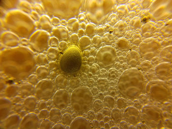 Full frame shot of bubbles