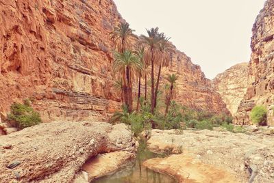 Rock formations on mountain