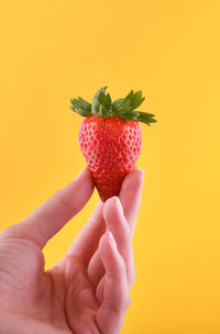 Close-up of hand holding strawberries