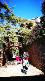 People on rock by tree against clear sky