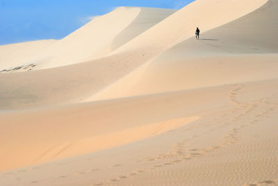 Scenic view of beach