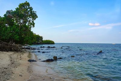 Scenic view of sea against sky