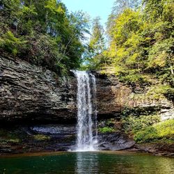 View of waterfall in forest