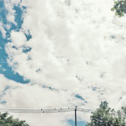 Low angle view of trees against sky