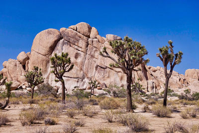 Rock formations on landscape against blue sky