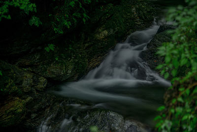 Scenic view of stream flowing through rocks in forest