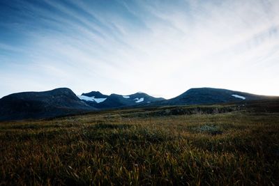 Scenic view of field against sky