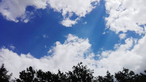 Low angle view of trees against blue sky