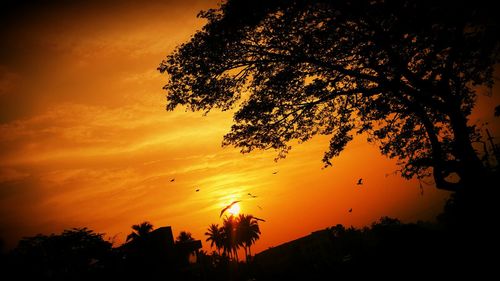 Low angle view of silhouette trees against orange sky