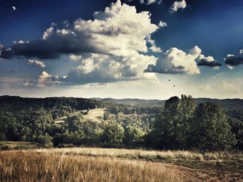 Scenic view of field against cloudy sky