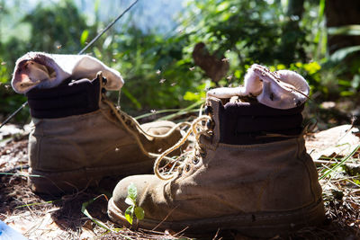 Close-up of shoes on field