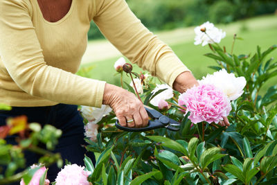 Midsection of woman holding bouquet