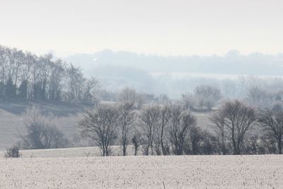 Scenic view of landscape against clear sky