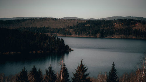 Scenic view of lake in forest against sky