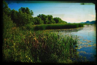 Scenic view of lake against sky