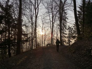 Rear view of man standing by trees in forest