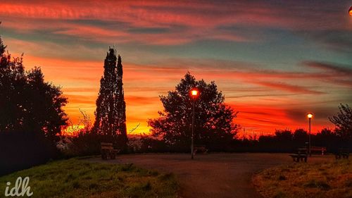 Silhouette trees on field against orange sky