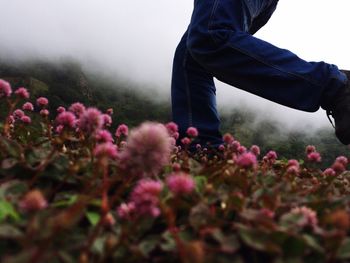 Low section of man running on flowerbed