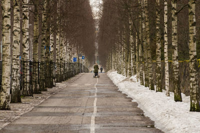 Rear view of person walking on footpath in forest