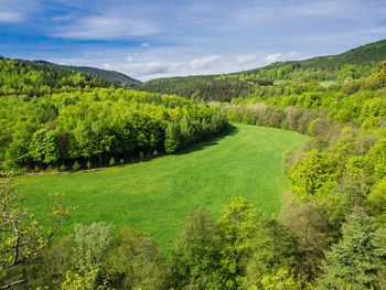 Scenic view of agricultural field against sky