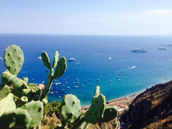 Scenic view of sea and nature in taormina