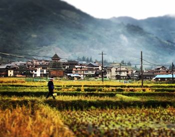 People walking on grassy field