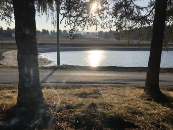 Scenic view of lake against trees