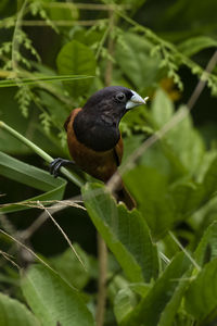 My favourite place is anywhere i can look up at birds.