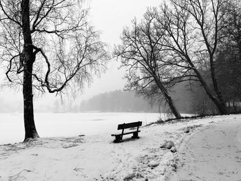Bare trees on snow covered landscape