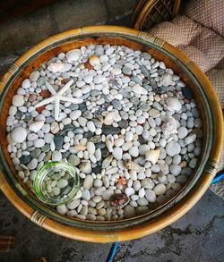 High angle view of eggs in container