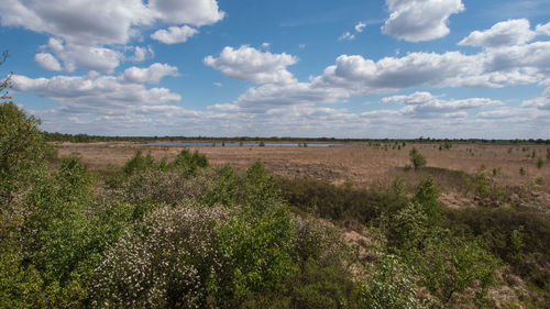 Scenic view of land against sky