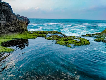 Scenic view of sea against sky