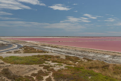 Scenic view of landscape against sky